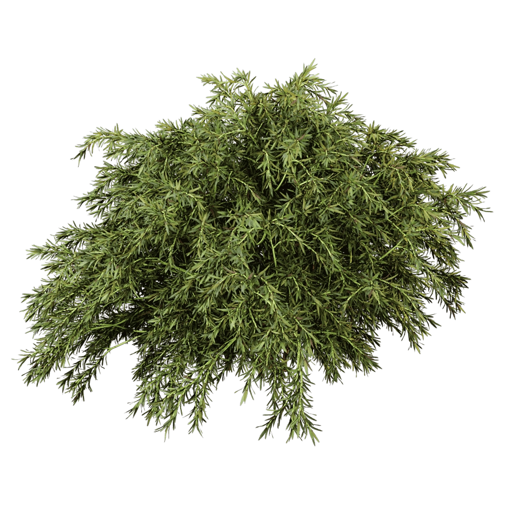 decoration - Sabina Pingii 01 05 3D Model