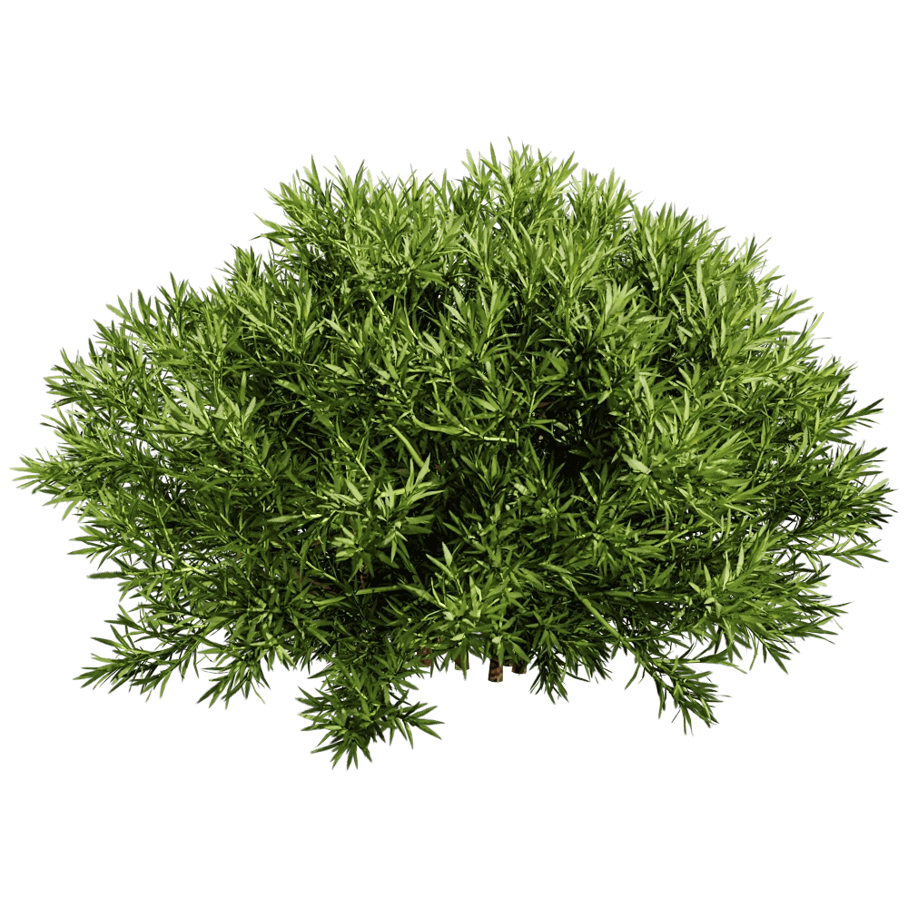 decoration - Sabina Pingii 01 06 3D Model