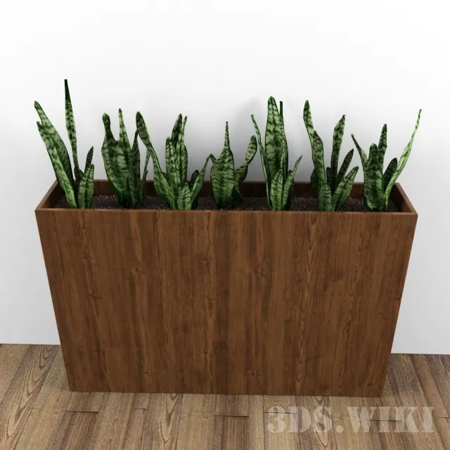 decoration - Sansevier - mother-in-law tongue flower 3D Model