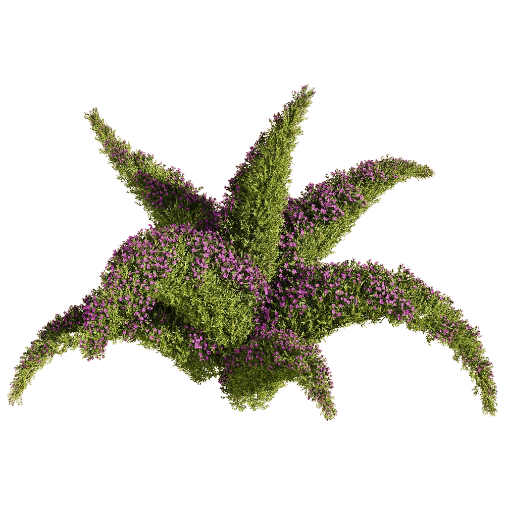 decoration - Sedum sarmentosum 2 3D Model