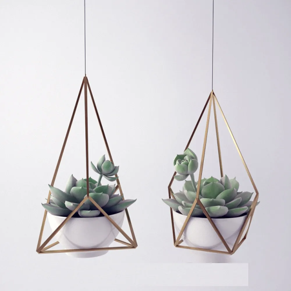 decoration - Sempervivum 3D Model