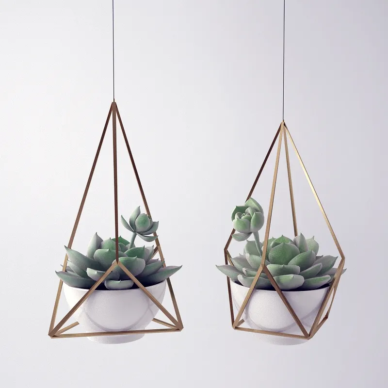 decoration - Sempervivum 3D Model