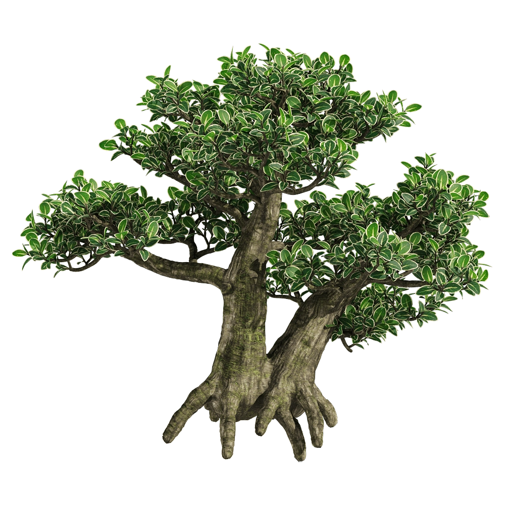decoration - Serissa japonica 3 3D Model