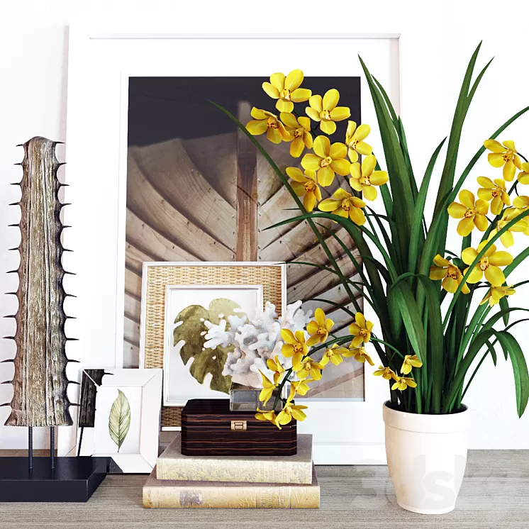 Decoration set Cymbidium Orchid 3D Model