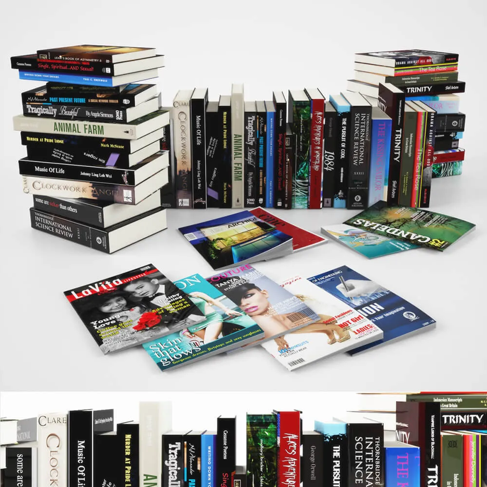decoration - Set of books and magazines 3D Model