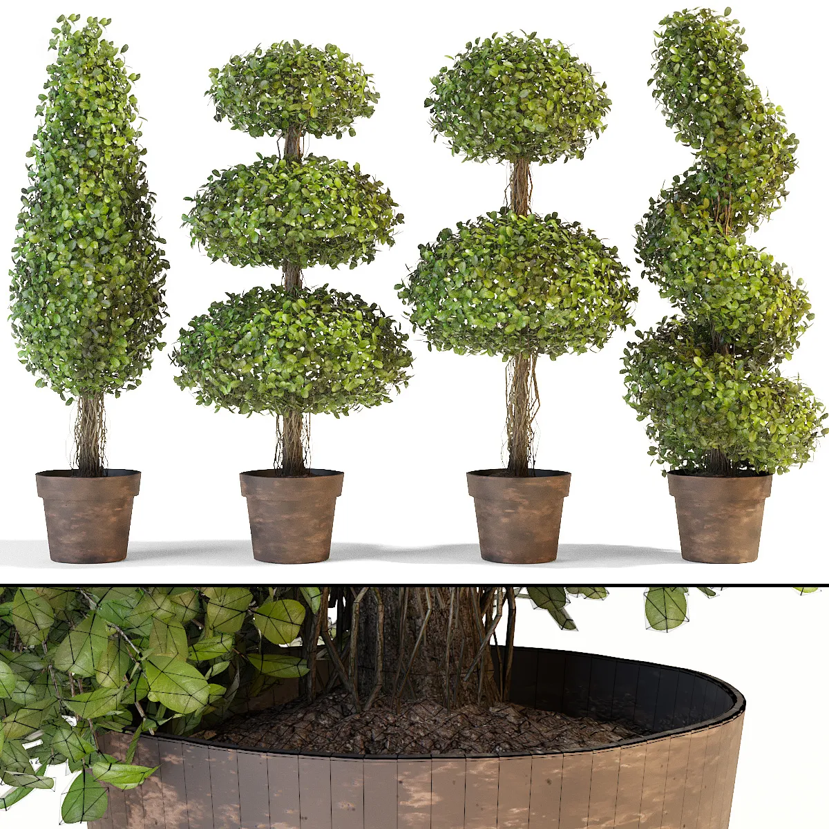 decoration - Set of decorative trees 05 3D Model