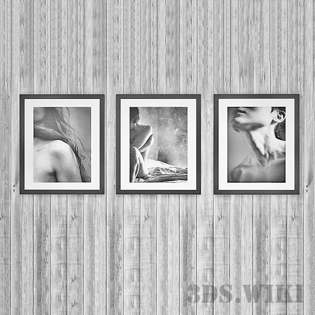 decoration - Set of photorealistic pictures 3D Model