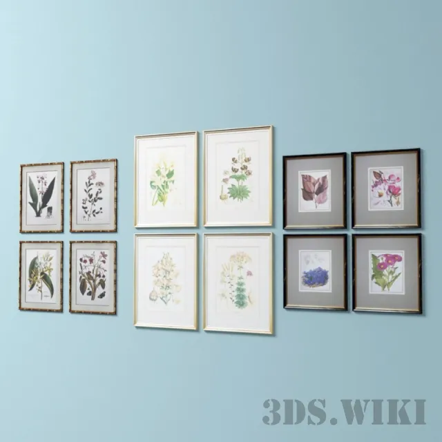 decoration - Set of pictures of flowers and frames 3D Model