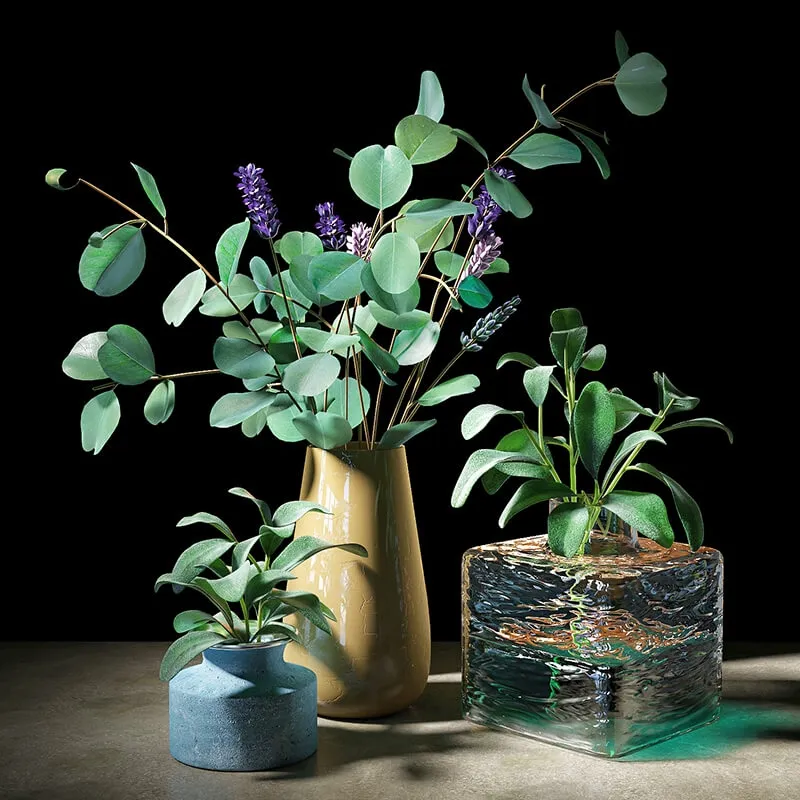 decoration - Set of plants 05 3D Model