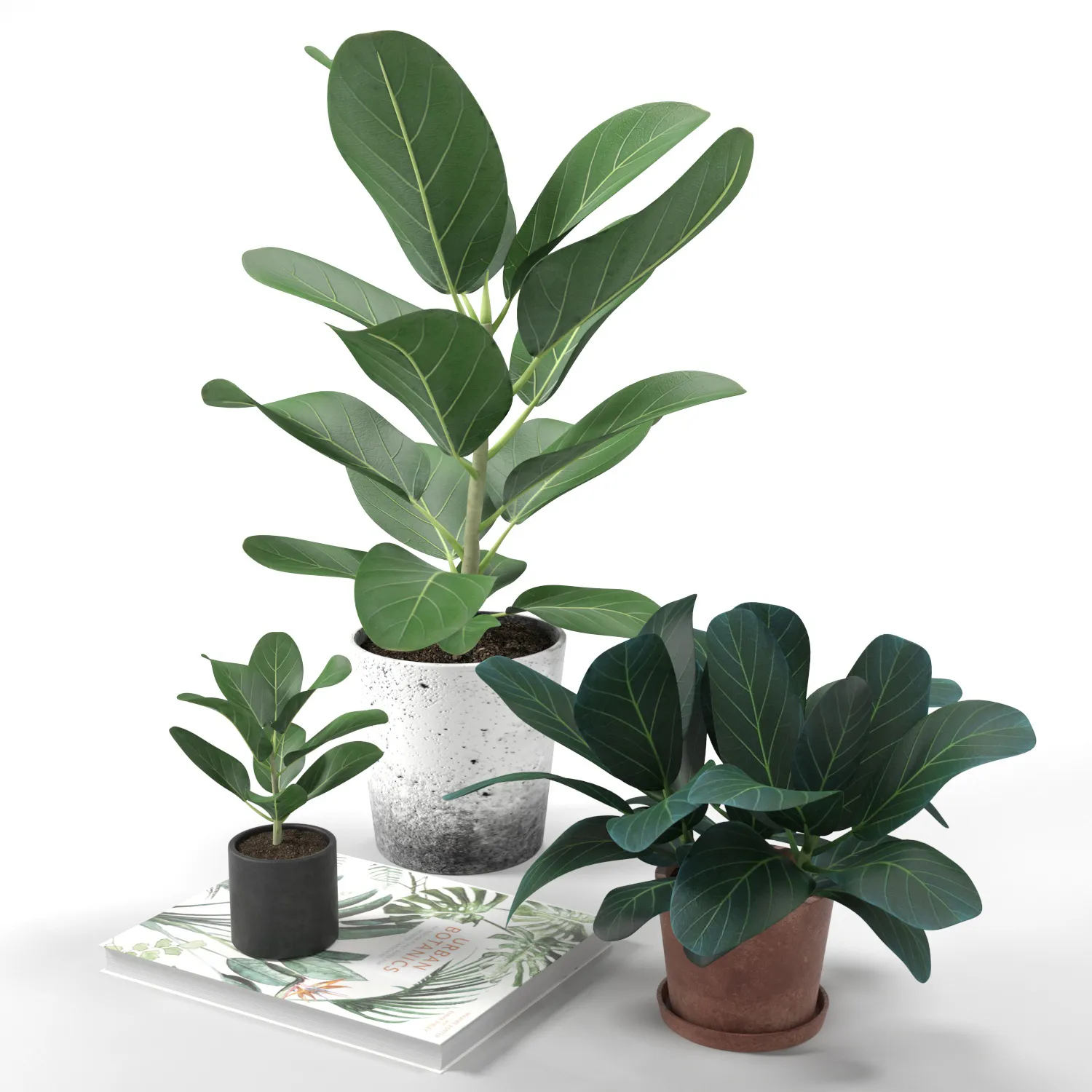 decoration - Set of plants 05 3D Model