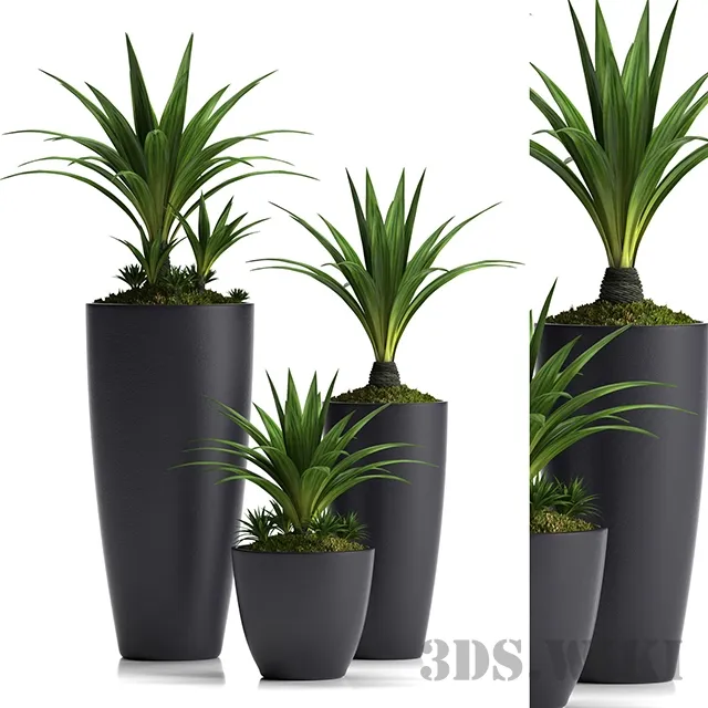 decoration - Set of plants with pots 3D Model