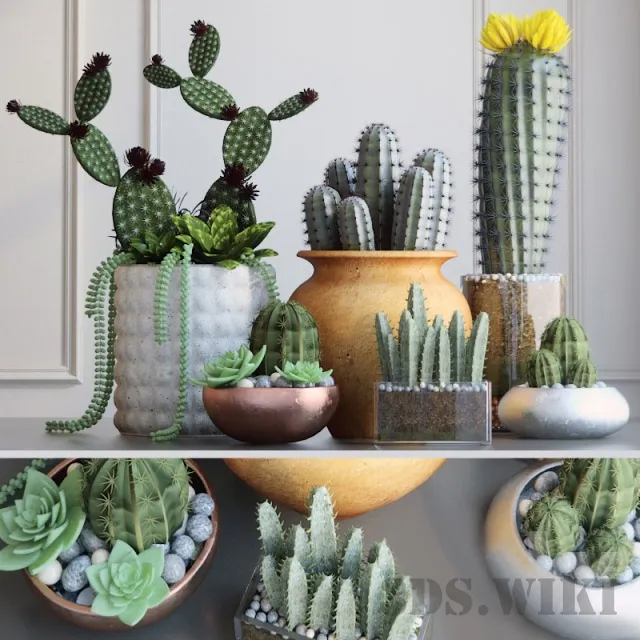 decoration - Set with Cactuses 3D Model