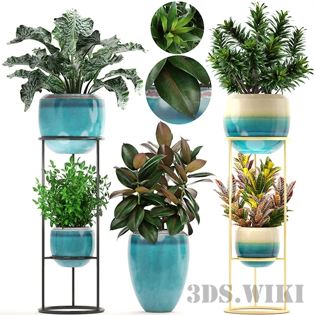 decoration - Set with croton 3D Model
