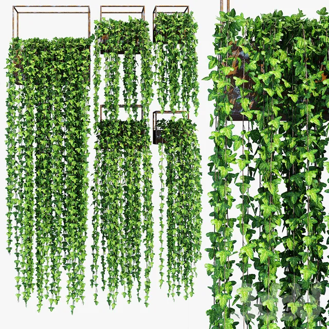 decoration - Shelves of plants 9 3D Model