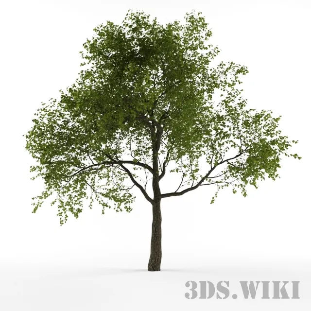 decoration - Simple decorative tree 3D Model