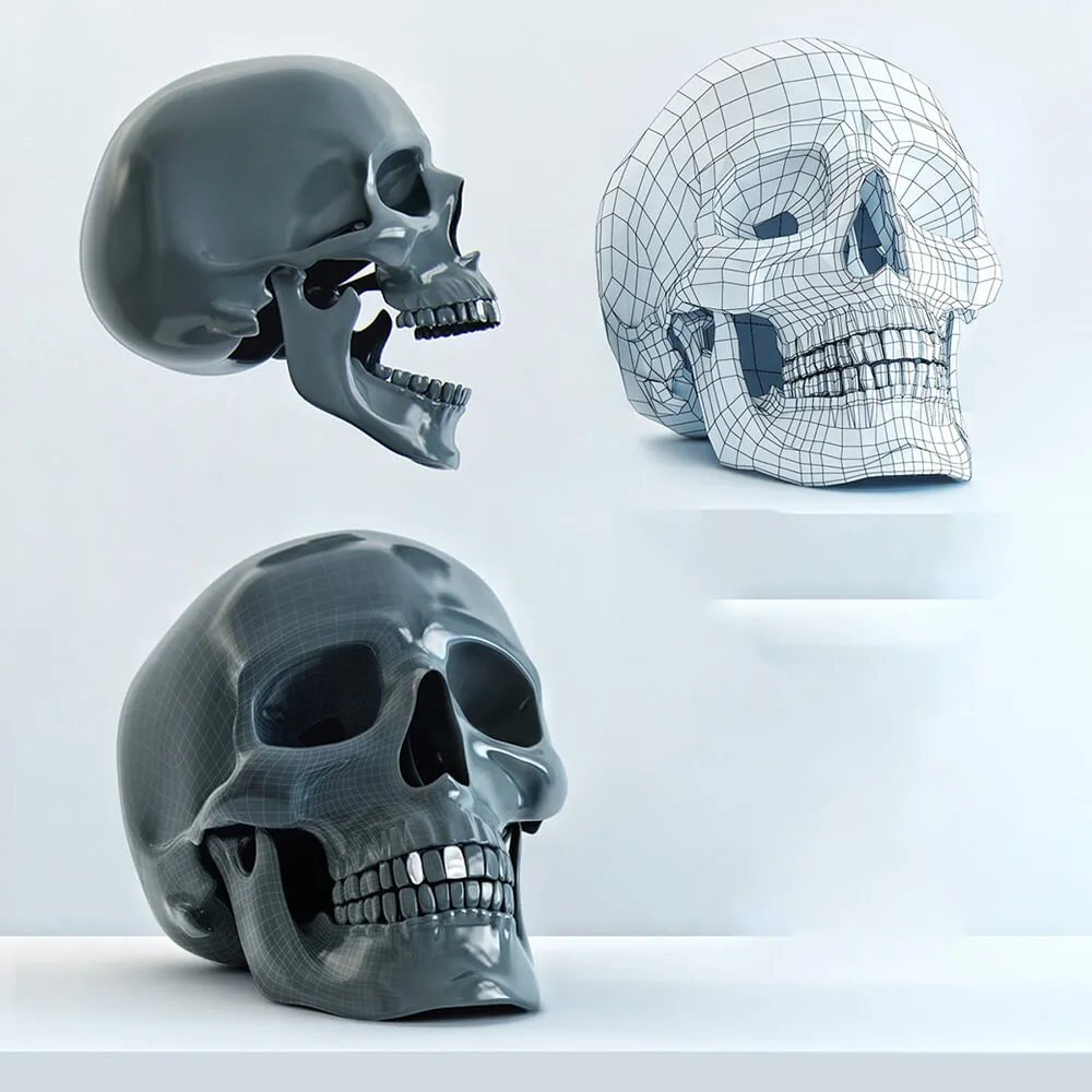 decoration - Skull model 3D Model
