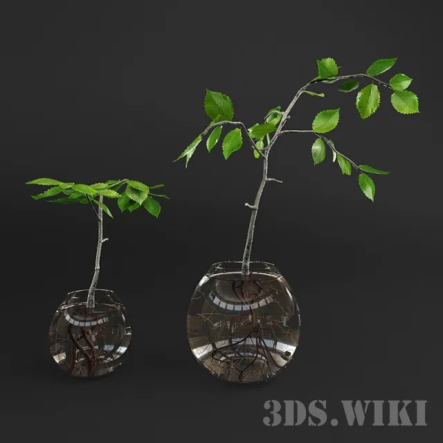 decoration - Small plant in a glass vase 3D Model