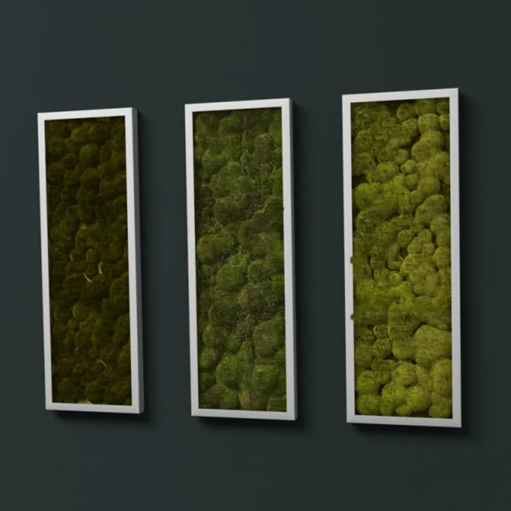 decoration - Stabilized moss - Fitostena/Phytowall 3D Model