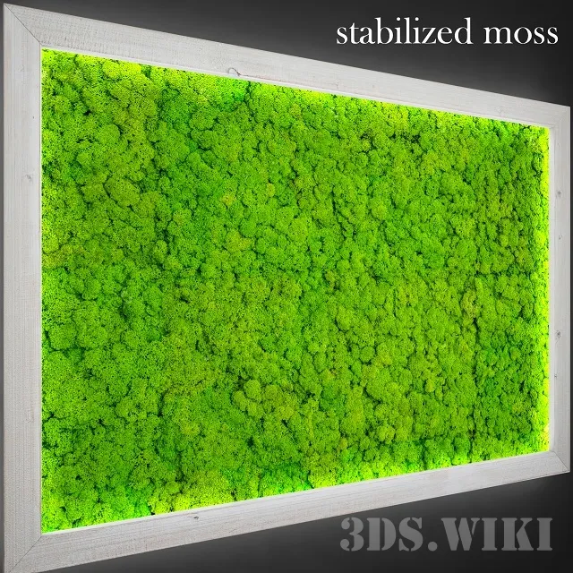 decoration - Stabilized moss for decoration 3D Model