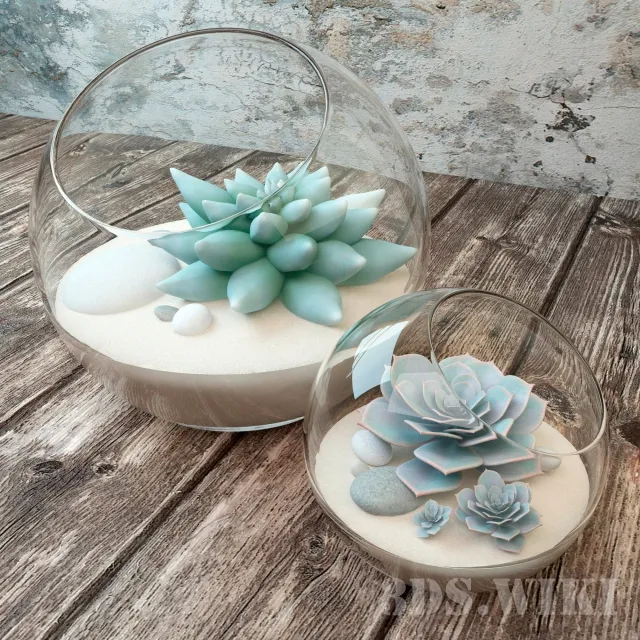decoration - Succulents in beautiful round jars 3D Model