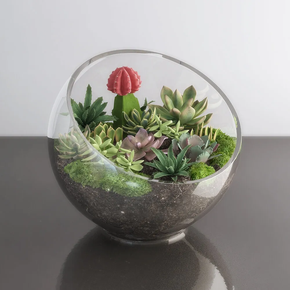 decoration - Succulents in glass bowl 3D Model