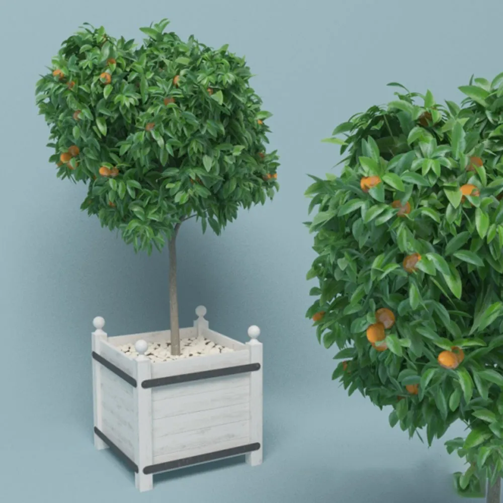 decoration - Tangerine tree 3D Model