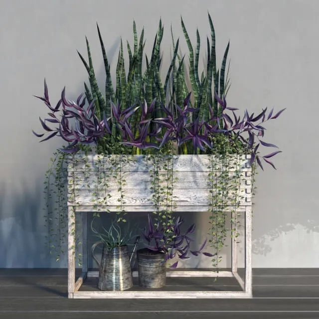 decoration - Terrace plants 21 3D Model