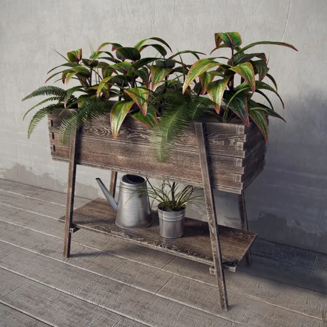 decoration - Terrace plants 3D Model