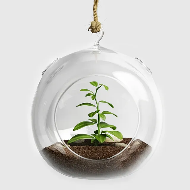 decoration - Terrarium for herbs 3D Model