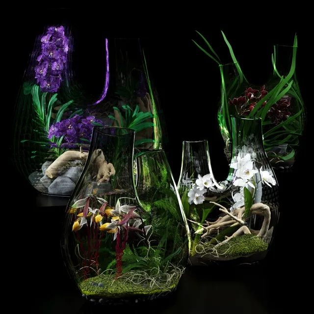 decoration - Terrarium vases with Orchids 3D Model