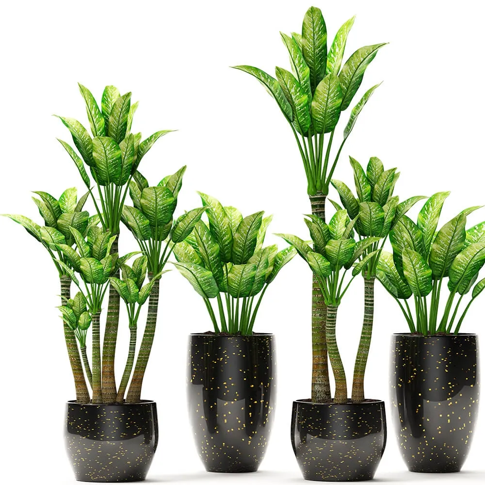 decoration - The collection of plants in pots 12 3D Model