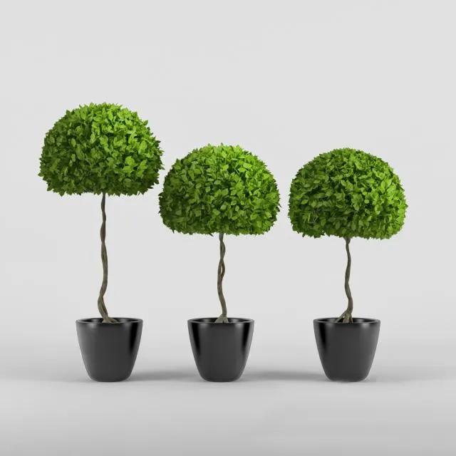 decoration - Three plants 3D Model