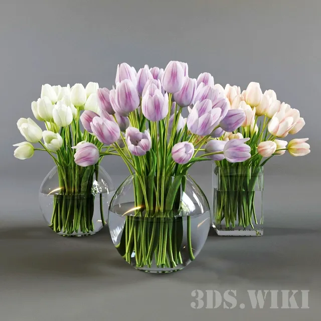 decoration - Three vases with tulips 3D Model