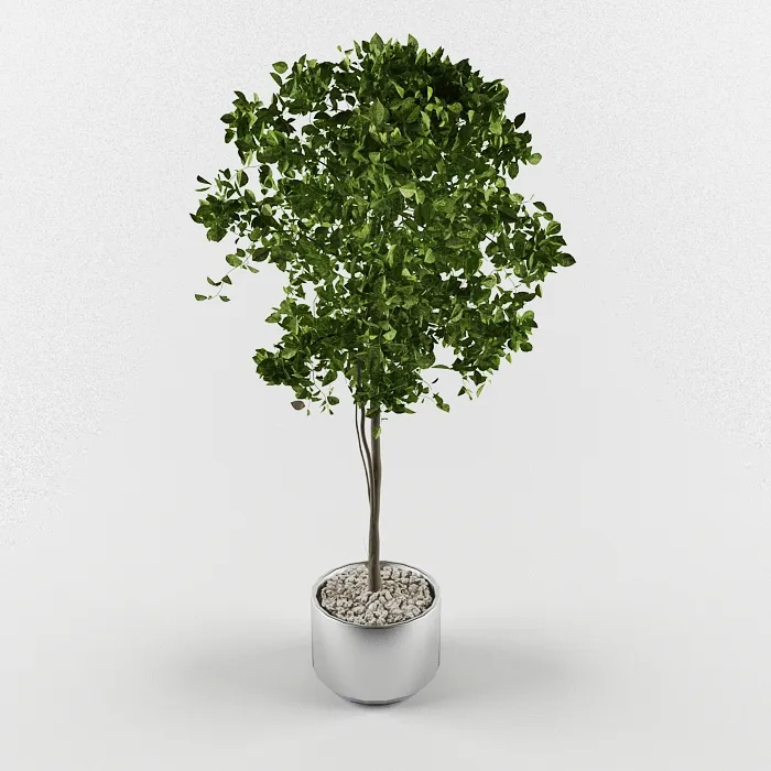 decoration - Tree 9 3D Model
