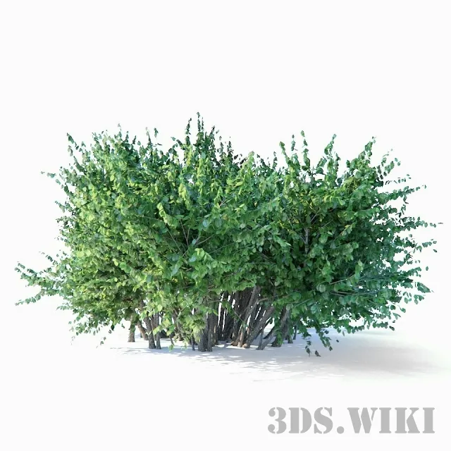 decoration - Tree houseplants 3D Model