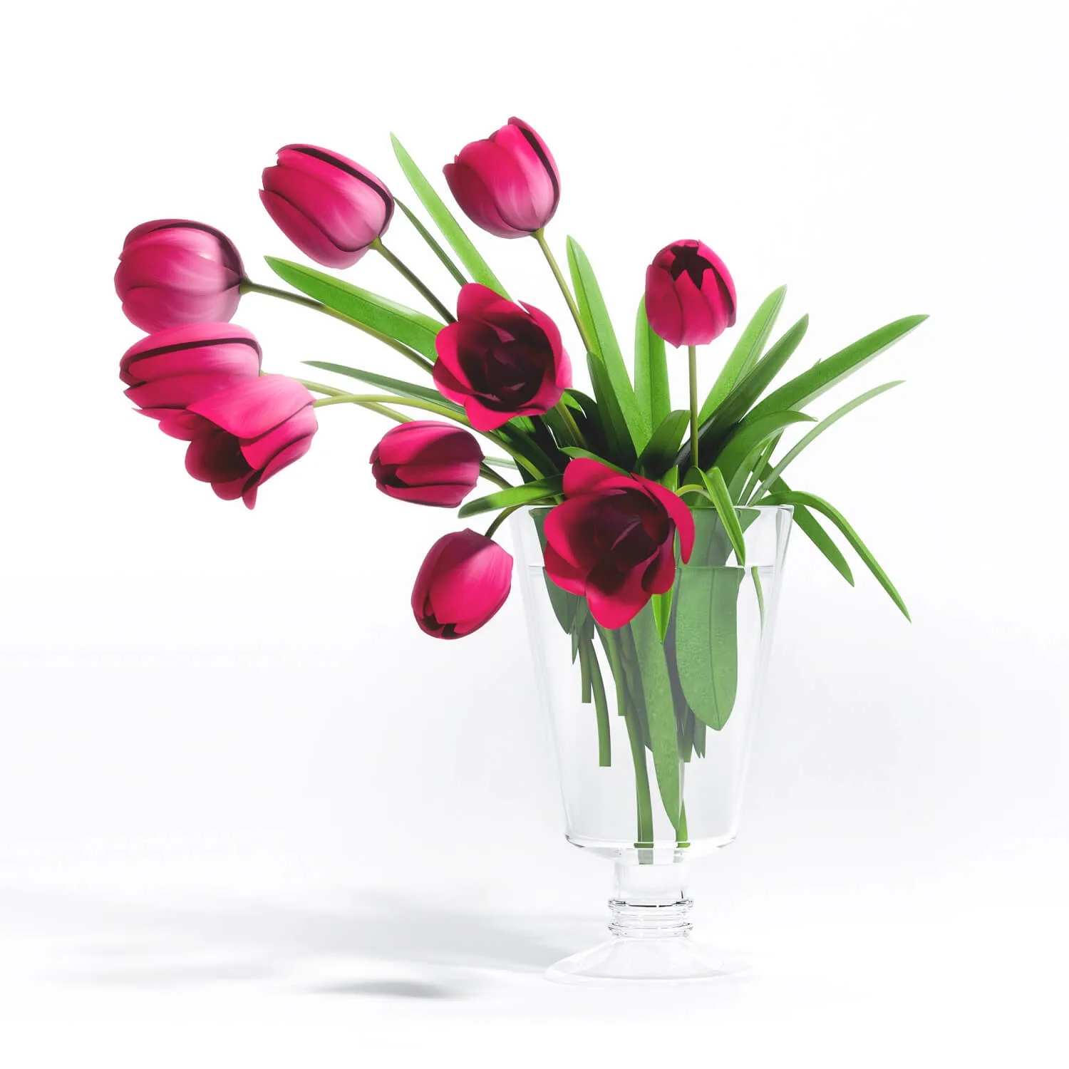 decoration - Tulip  Flower - 5 3D Model