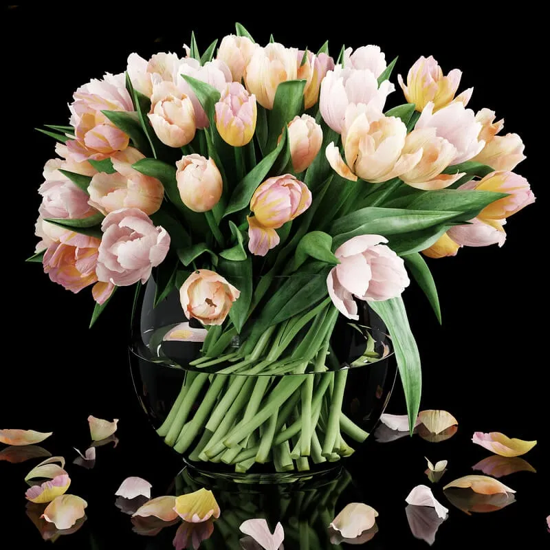decoration - Tulips 16 colors 3D Model