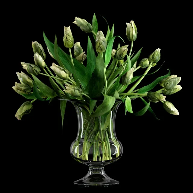 decoration - Tulips 3D Model