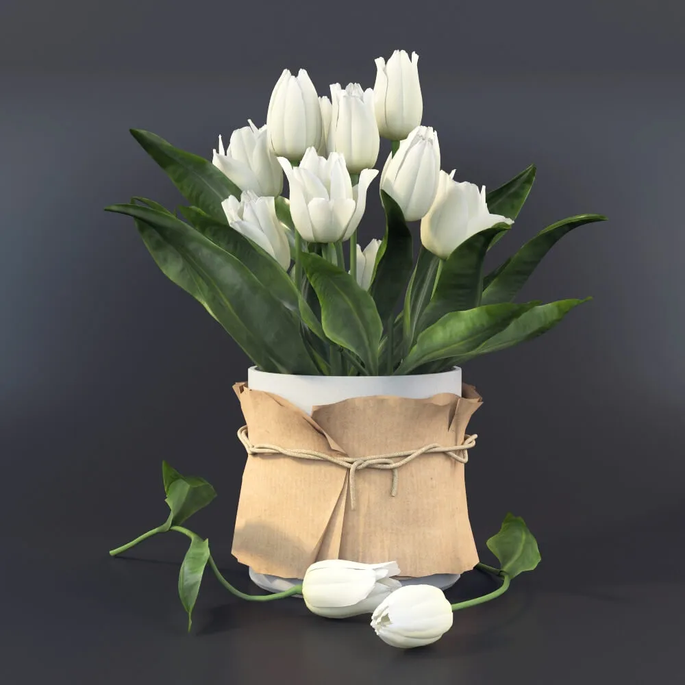 decoration - Tulips 49 3D Model