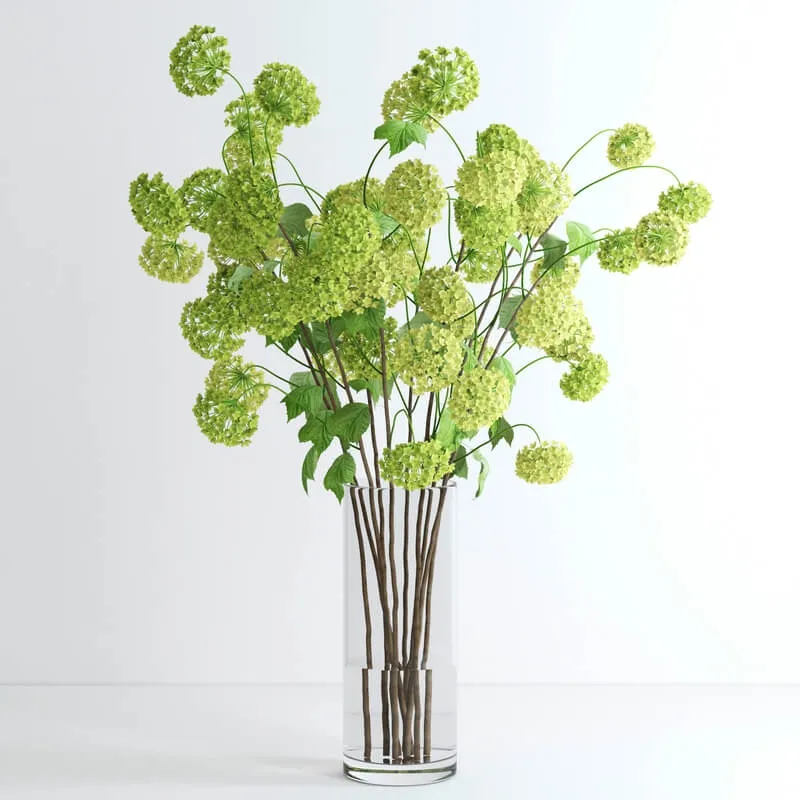 decoration - Viburnum 3D Model