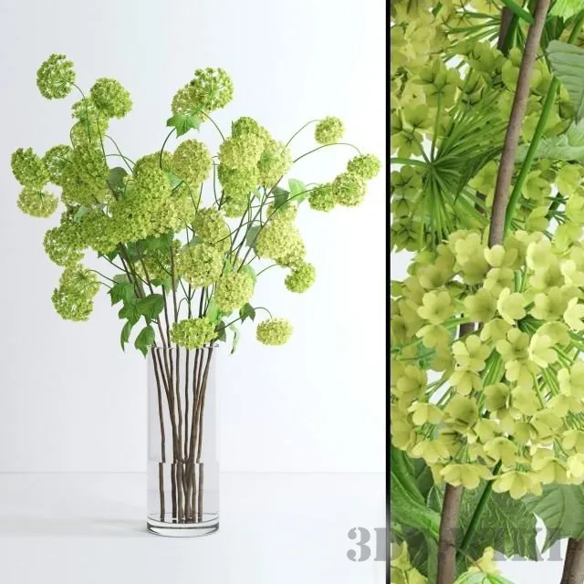 decoration - Viburnum branches 3D Model