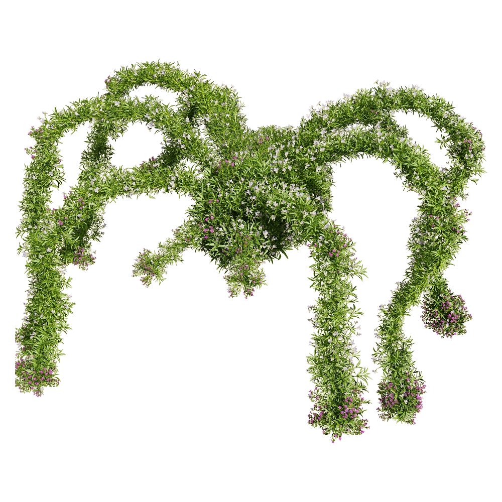 decoration - Viola tricolor 12 3D Model