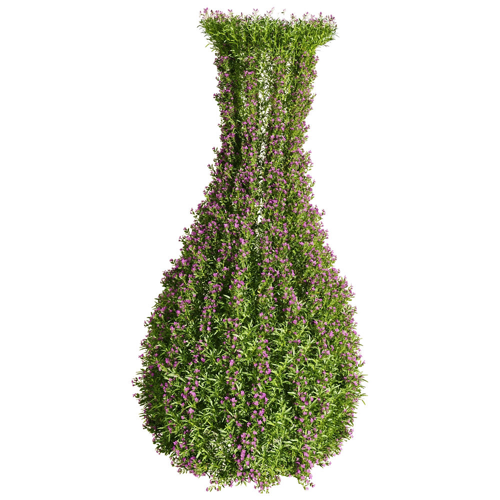 decoration - Viola tricolor 2 3D Model