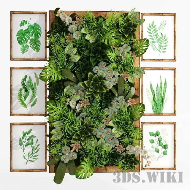 decoration - Wall decoration with plants 3D Model