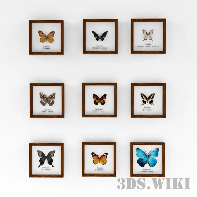 decoration - Wall pictures with butterflies 3D Model