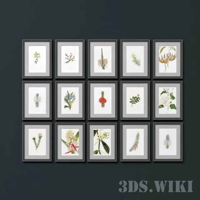 decoration - Wall posters "botany" 3D Model