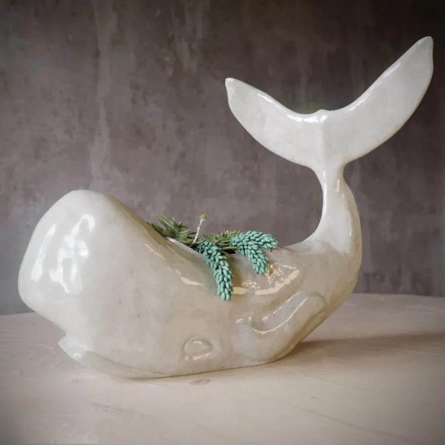 decoration - Whale succulent 3D Model
