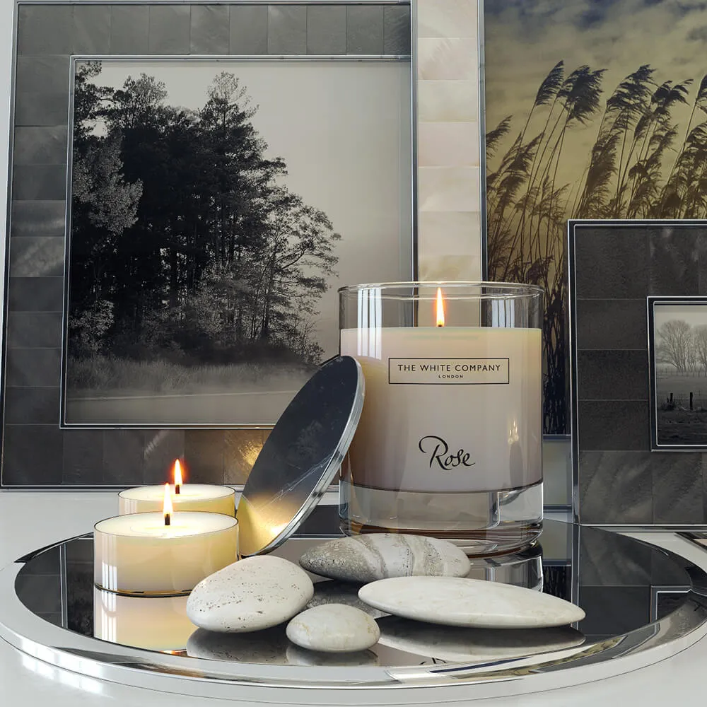 decoration - White Company 3D Model