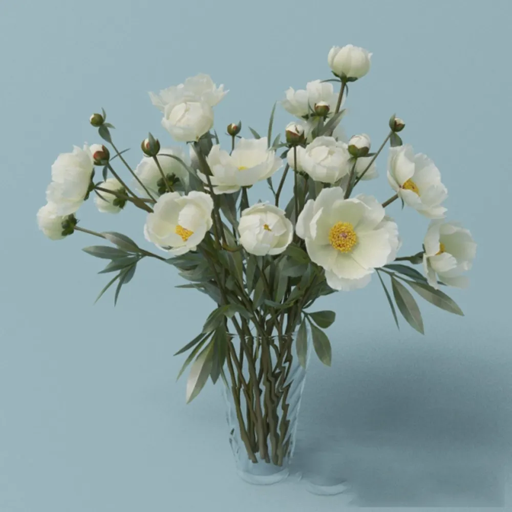 decoration - White peonies 3D Model