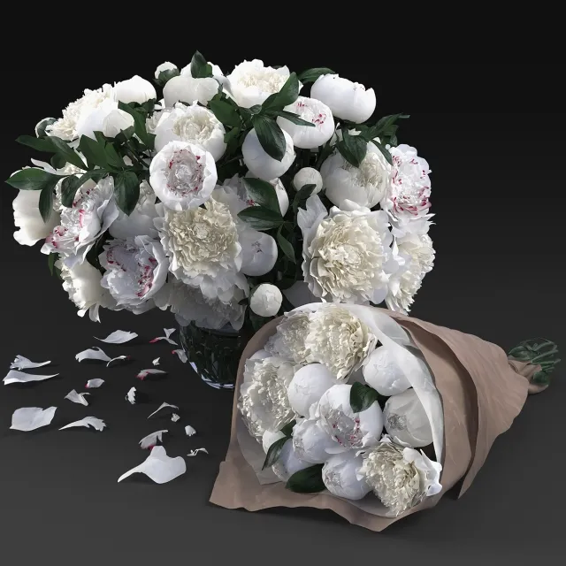 decoration - White Peonies 3D Model